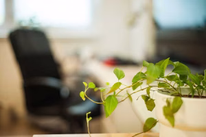 Residence Le Pancaliste Logement etudiant Strasbourg Mgel Logement