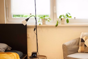 Residence Le Pancaliste Mgel Logement Logement etudiant a Strasbourg