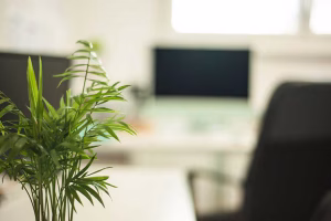 Residence Louise Logement etudiant Strasbourg